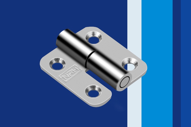 亚洲国产精品久久久久蜜桃网站