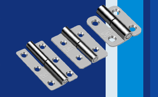 亚洲国产精品久久久久蜜桃网站